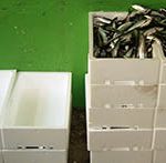 poliestireno expandido