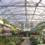 películas de plástico, peliculas de mulch, Agricultural Film, películas de invernadero, peliculas de cobertura, peliculas de ensilaje, Agenda 2030 para el Desarrollo Sostenible, agricultura sostenible, biodegradable, mercado mundial de películas agrícolas, AMI,