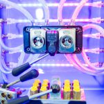 interplastica, upakovka, feria del plástico, rusia, mercado ruso, packaging, messe Dusseldorf, maquinaria de plásticos, amaplast, vdma, rusia, rublo