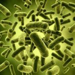 Velox, life, antimicrobianos, aditivos, microbios, plásticos, acuerdo de distribución,