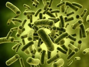 Velox, life, antimicrobianos, aditivos, microbios, plásticos, acuerdo de distribución,