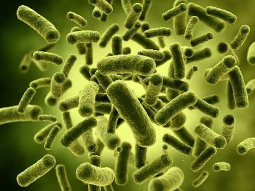 Velox, life, antimicrobianos, aditivos, microbios, plásticos, acuerdo de distribución, 