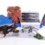 cipasi, grupo hinojosa, planta, massamagrell, valencia, carton plástico, polipropileno celular, envases plásticos, bandejas, grupo Hinojosa, iso 14001