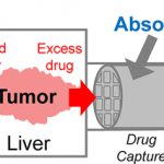 berkeley, polímero, quimioterapia, cilindro absorbedor, efectos secundarios, tratamiento contra el cancer, plásticos contra el cancer