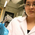 ping wang, universidad de lund, suecia, bioplástico, molécula de las heces, reciclabilidad, resistencia térmica, propiedades