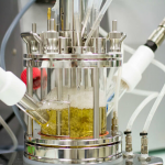 Schweppes, reciclado de pet, Carbios, acuerdo, envases de pet, estrategia sostenible, schweppes suntory españa