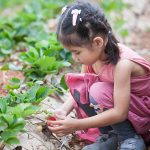 Sabic, hoja de ruta de sostenibilidad, desarrollo sostenible, ODS, naciones unidas, SABIC, reducción de emisiones de co2, materiales sostenibles, naciones unidas, estrategia, hoha de ruta