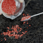 biodegradación plásticos aimplas