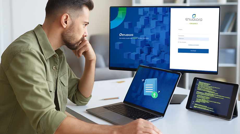 envalora lector DIs/FS