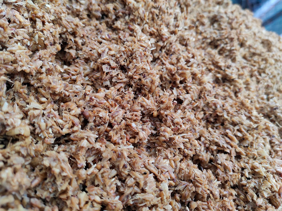 Proceso de transformación de residuos de cerveza en bioplásticos sostenibles PHA y PHB